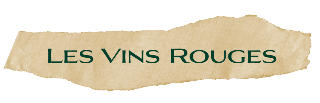 Les vins rouges 1024x332