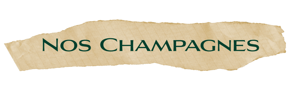 Nos champagnes 1024x330